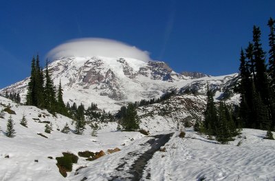 Mt. Rainier (view from Golden gate trail)