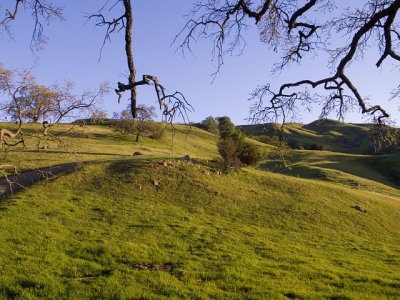 Sunrise Above Sunol.jpg