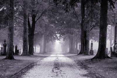 Road to Nowhere