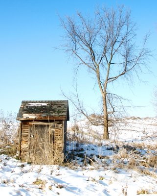 Shed and Tree.