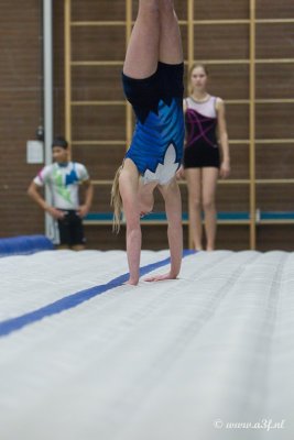 D3F09530.jpg