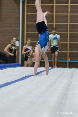 D3F09575.jpg