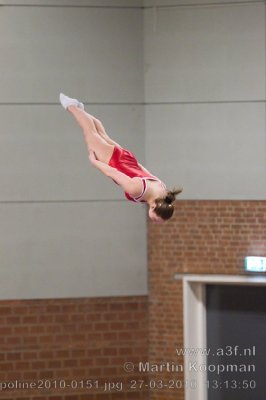 Trampoline2010-0151.jpg