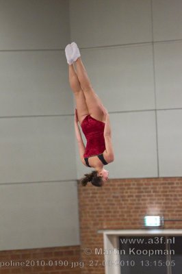 Trampoline2010-0190.jpg