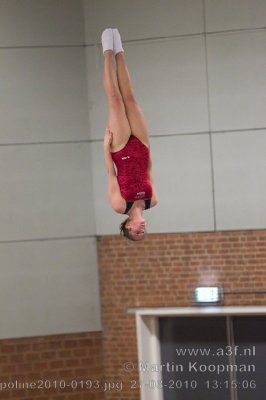 Trampoline2010-0193.jpg