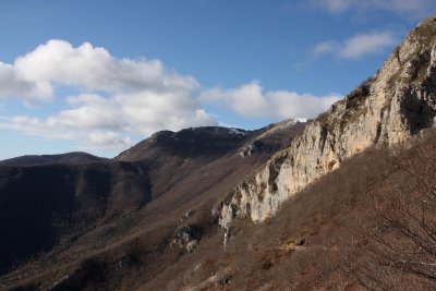 Simbruini