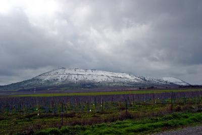 snowy Golan heights, Israel Feb 2006  