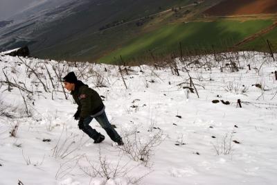 snowy Golan heights, Israel Feb 2006  