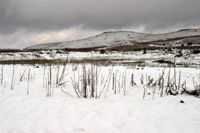 snowy Golan heights, Israel Feb 2006  