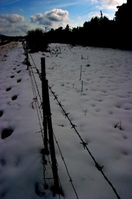 snowy Golan heights, Israel Feb 2006  