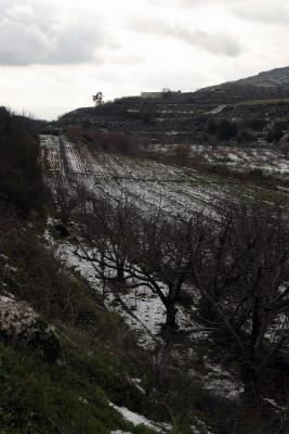 snowy Golan heights, Israel Feb 2006  