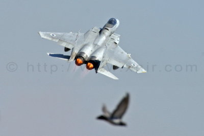 F-15 Eagle, Israel Air Force