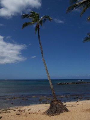 North Shore, Hawaii