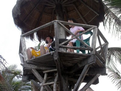 Crow's Nest