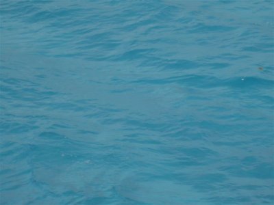 BEAUTIFUL Blue water