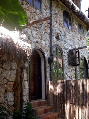 Jungleplace 2
