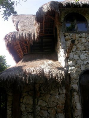 Jungleplace 3