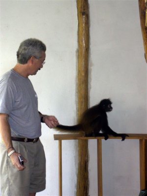 My....what a big tail you have!