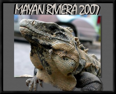  Mayan Riviera 2007