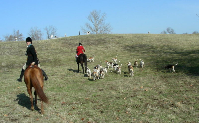 DSCN8270.JPG