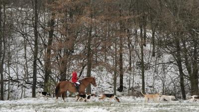 Hunting from Hill n Hound December 10