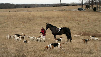 Hunting from the Kennels February 19th, 2006