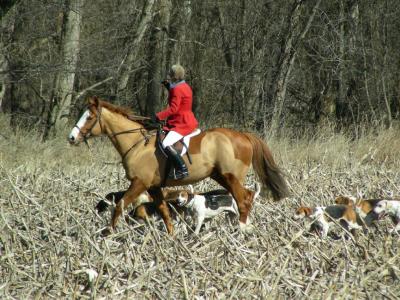 Hunting February 26th Hill 'n Hound Farm