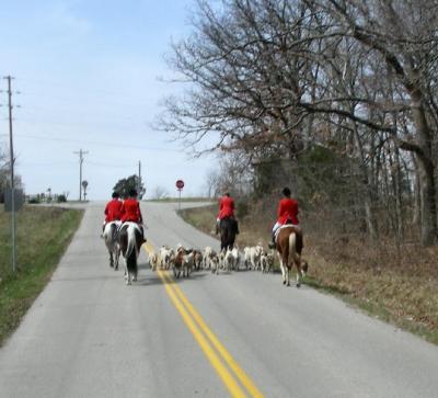 Hunting Saturday March 18th Bridlespur Kennels