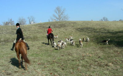 DSCN8270.JPG