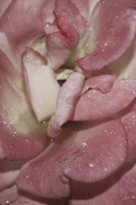 the close up