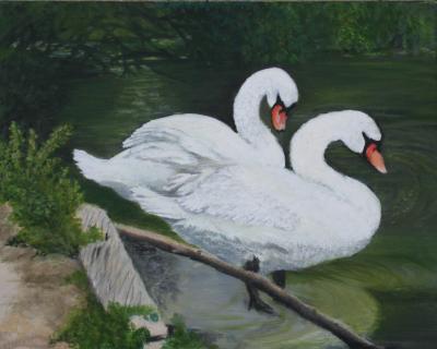 The Swans