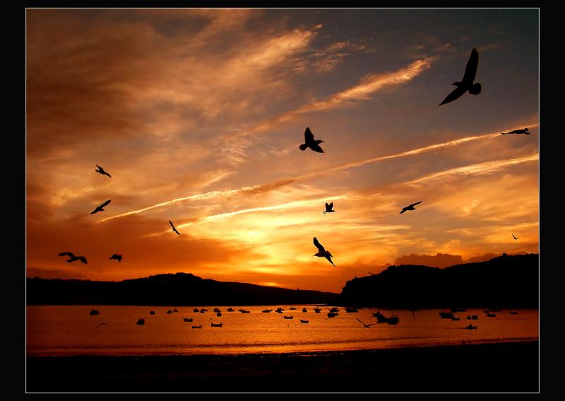 ...Flying ...