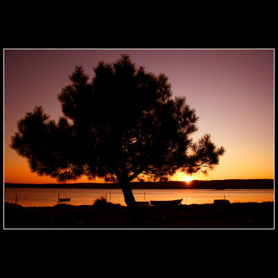... The beauty of nature ...