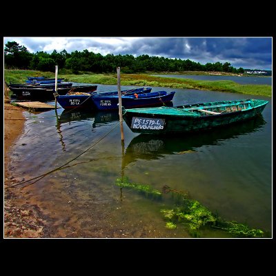 Obidos lagoon moments...