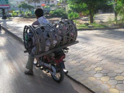 Rural people