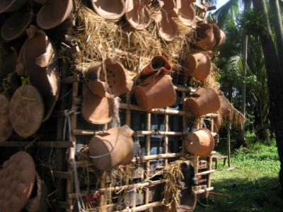 Rural people