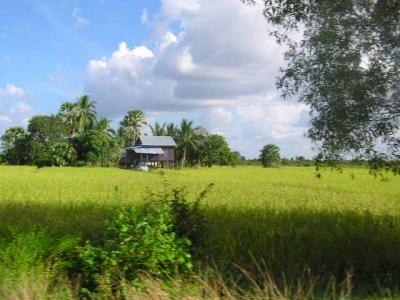 Country-side