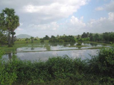Country-side