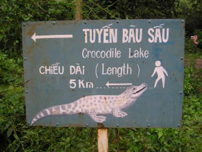 Crocodile lake