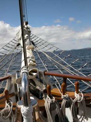 g3/27/408327/3/88576198.Pi0aePIu.jpg