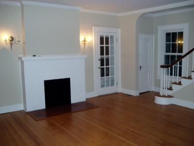 Living room and fireplace