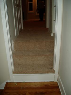Carpeted staris to master suite