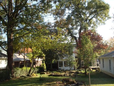 The leaves are starting to turn...