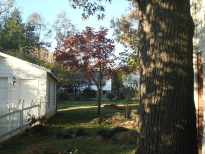g3/27/419527/3/88435051.6rsbBYsi.jpg