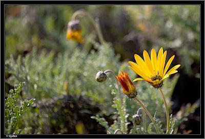 IMG_6553.jpg