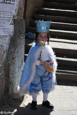 IMG_5851.JPG