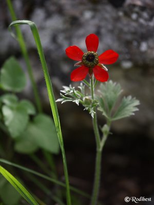 1DS80474.JPG