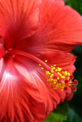 IMG_3308_sm.jpg