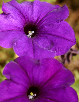 IMG_3316_sm.jpg