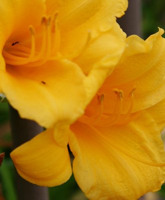 IMG_3328.jpg